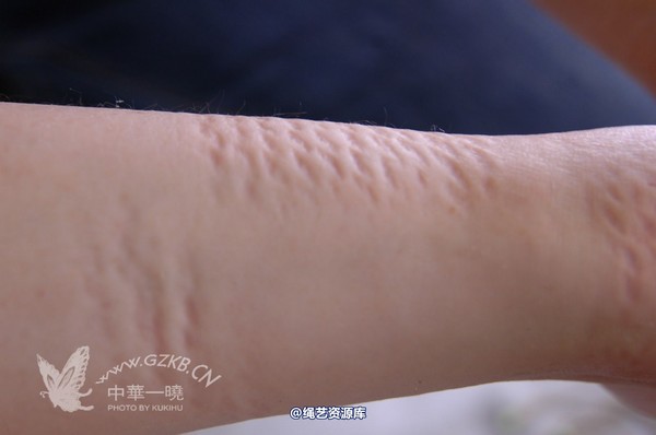 中华一晓 - 中华一晓 NO.0118 第 194 张图片