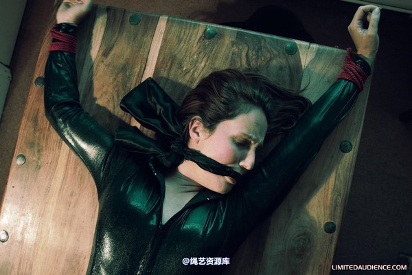 limitedaudience - 2010 sammie b devour 第 1 张图片