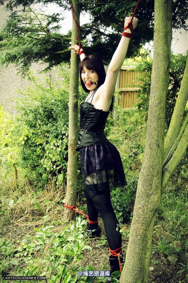 limitedaudience - 2011 syrah lee helpless outdoors 第 15 张图片
