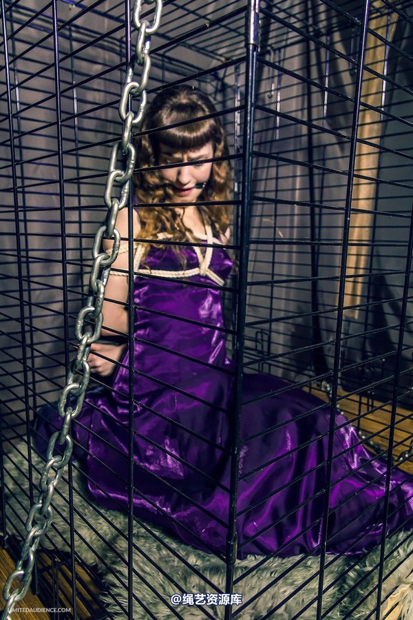 limitedaudience - 2014 fay inside the cage 第 3 张图片