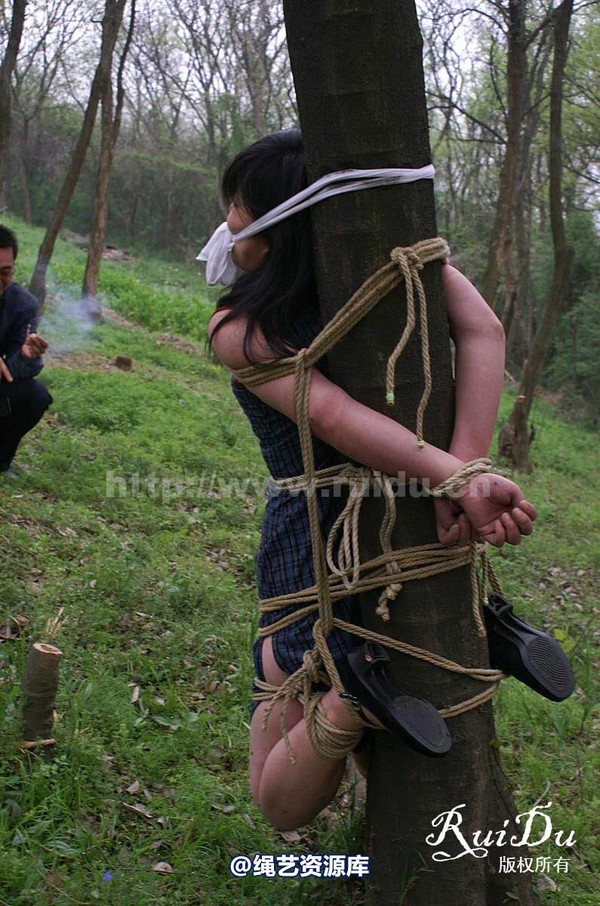 锐度主张 - 20070505第14期 老山采风续 小琴 雨竹 第 217 张图片