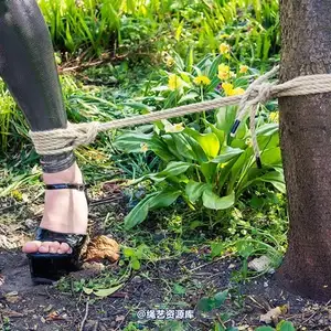 limitedaudience - 2013 elyssia stretched out 相册封面，共 39 张图片