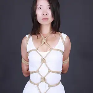 神艺缘 - 144-龟甲驷马 相册封面，共 46 张图片