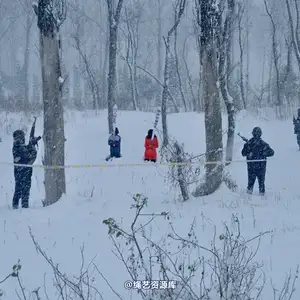 mj影视 - 钟晓燕被执行 相册封面，共 35 张图片