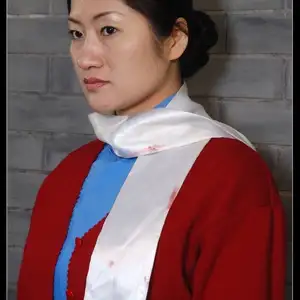 红豆的天空 - 红豆2010新作 江姐形象1 相册封面，共 42 张图片