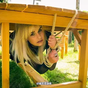 limitedaudience - 2016 altsiren under the table 相册封面，共 25 张图片
