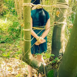limitedaudience - 2015 stacey von in the forest 2 相册封面，共 28 张图片