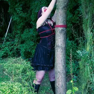 limitedaudience - 2010 carmina and the tree 相册封面，共 34 张图片