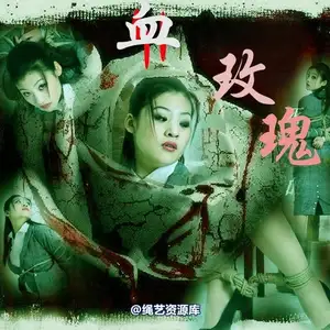 雅俗阁 - 20080118雅茹 相册封面，共 34 张图片
