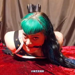 limitedaudience - 2012 raevan hogtied 相册封面，共 29 张图片