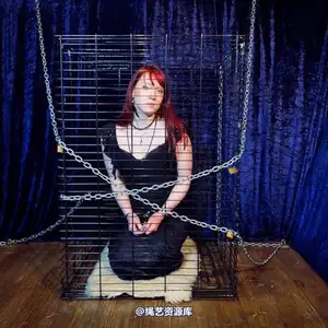 limitedaudience - 2012 syrah lee safe cargo 相册封面，共 50 张图片