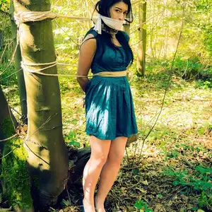 limitedaudience - 2014 stacey von in the forest 相册封面，共 27 张图片