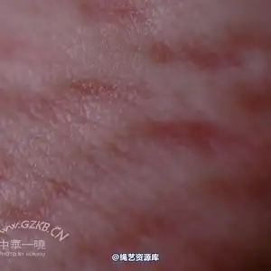中华一晓 - 中华一晓 NO.0160 相册封面，共 122 张图片