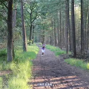 boundlife - bl247 相册封面，共 69 张图片